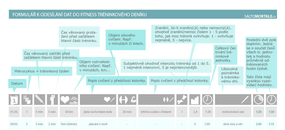 Formul k trninkovmu denku